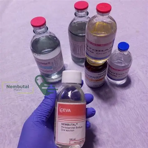 Consiga medicamentos sedantes barbitúricos comprar fenobarbital 60 mg sin receta en Sevilla, España;PIDE BARBITÚRICOS ONLINE EN ESPAÑA Se utilizan para calmar el sistema nervioso y tratar la ansiedad, las convulsiones y el insomnio. Guía comparativa completa sobre los efectos de los barbitúricos,Compre fenobarbital de 15 mg en línea.Comprar solución oral de fenobarbital sin receta.PIDE BARBITÚRICOS ONLINE EN ESPAÑA,¿Puedo pedir comprimidos de butalbital al mejor precio garantizado?,compre cápsulas de Amobarbital 100mg online en Madrid-España con entrega al día siguiente,Compre amobarbital (amital sódico) en línea,Compre fenobarbital de 15 mg en línea,Comprar solución oral de fenobarbital sin receta